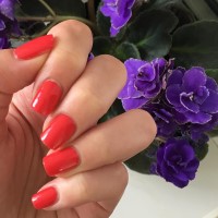 zoya nail polish and instagram gallery image 0